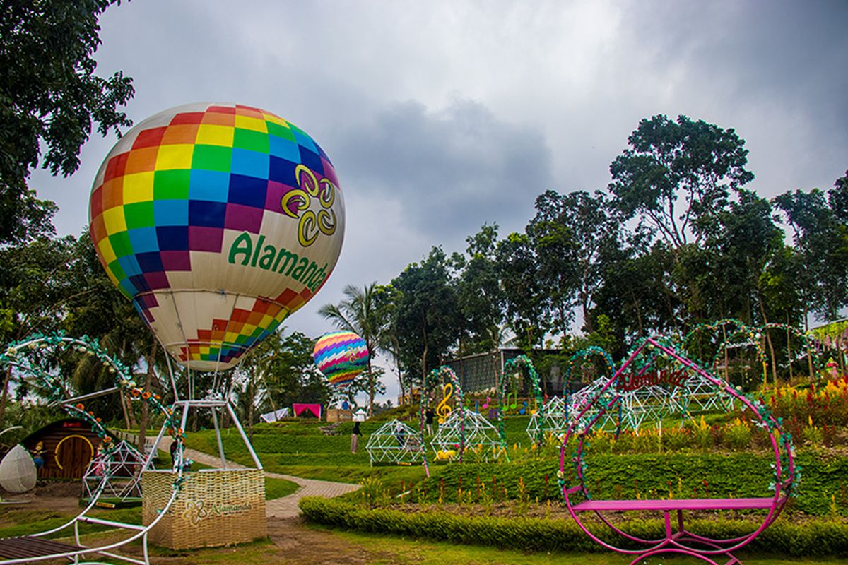 Alamanda Jogja Flower Garden