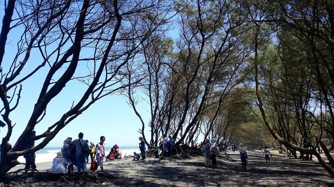 Pantai Dekat Malioboro di Jogja
