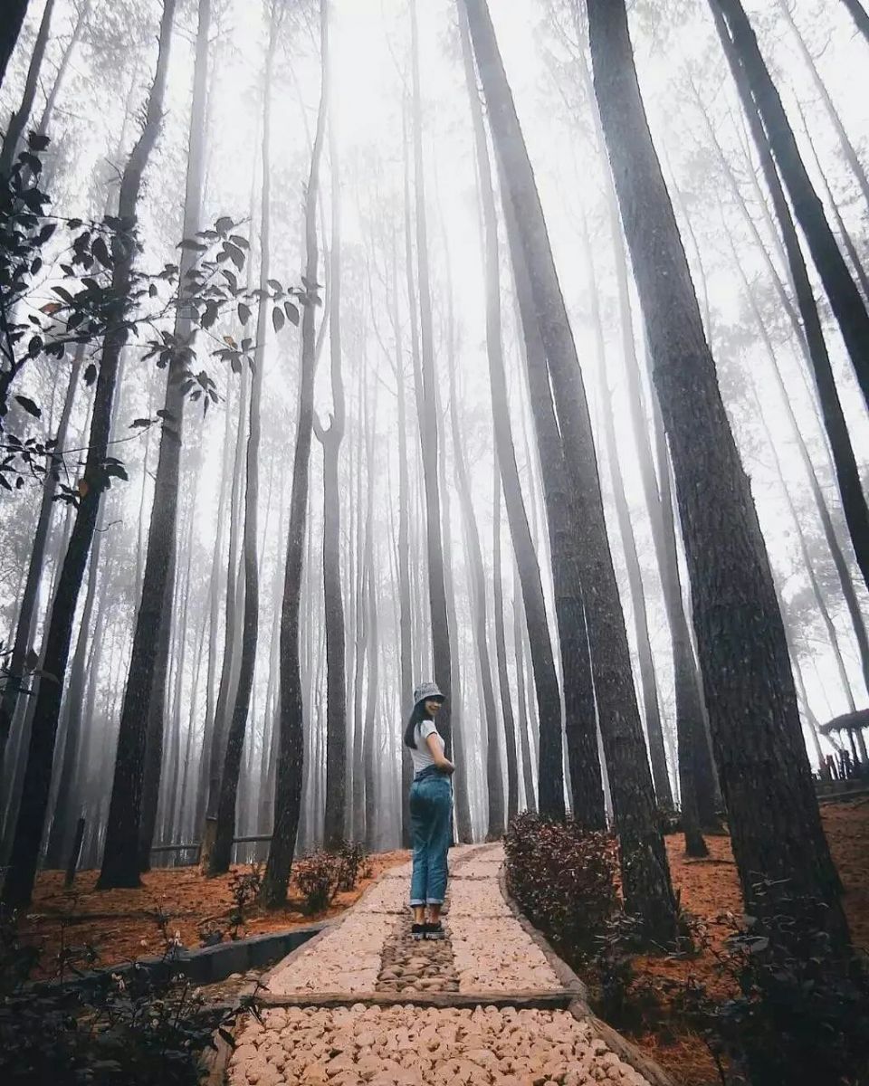 Tour Jogja Murah